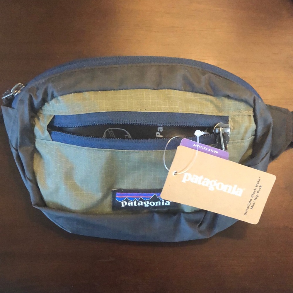 Patagonia Fanny Pack
